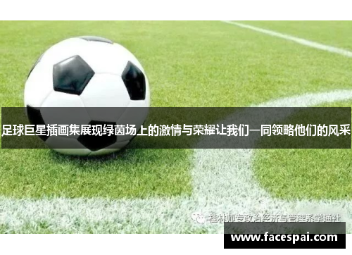 足球巨星插画集展现绿茵场上的激情与荣耀让我们一同领略他们的风采